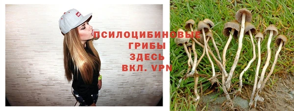 прущая мука Абдулино