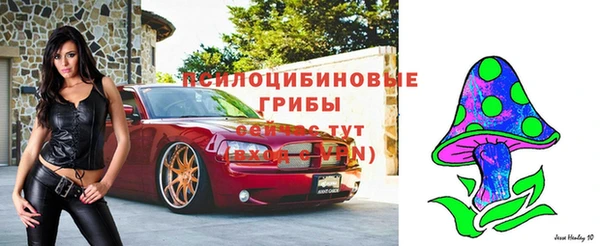 прущая мука Абдулино