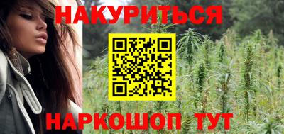 трава Кингисепп